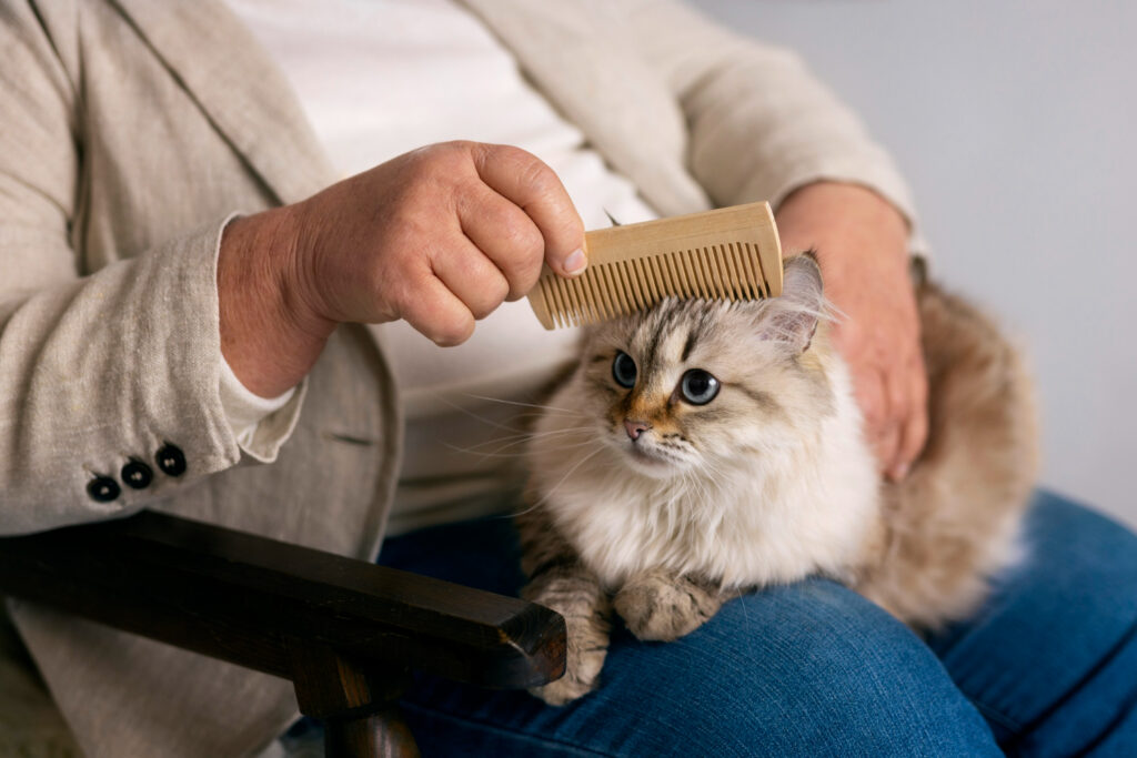 Mengapa Bulu Kucing Sering Rontok? Penyebab dan Solusinya